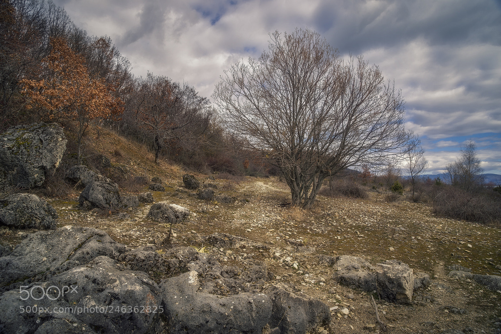 Pentax K-1 sample photo. Stones photography