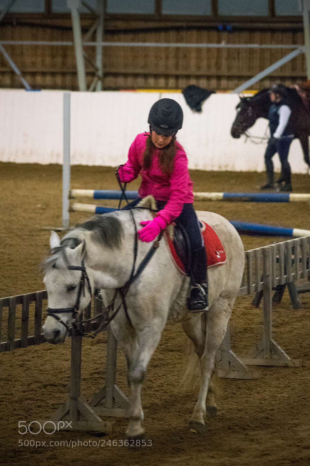 Sony a7 II sample photo. 040/365: minttu & maija photography