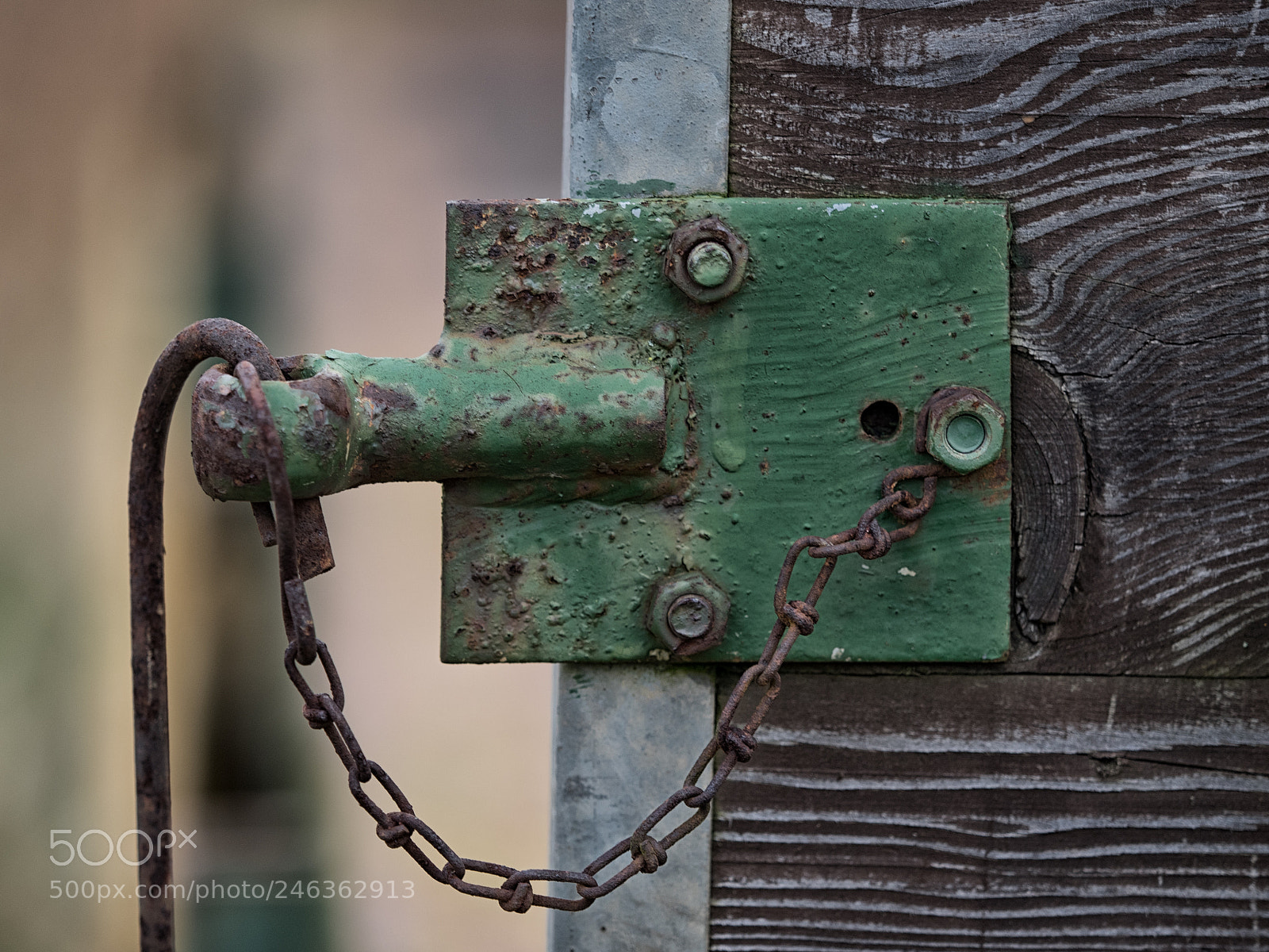 Olympus OM-D E-M1 sample photo. Locked up photography