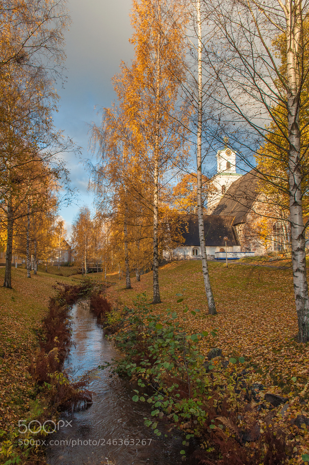 Nikon D5000 sample photo. Countryside photography