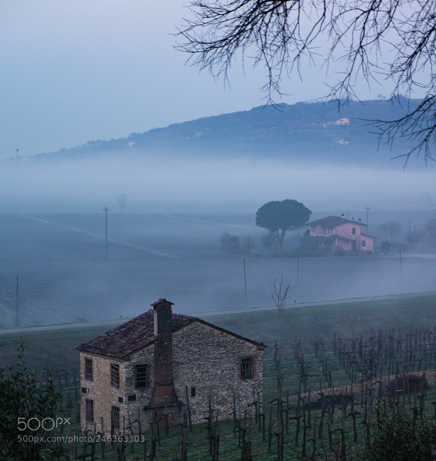 Sony Alpha NEX-5N sample photo. Country morning photography