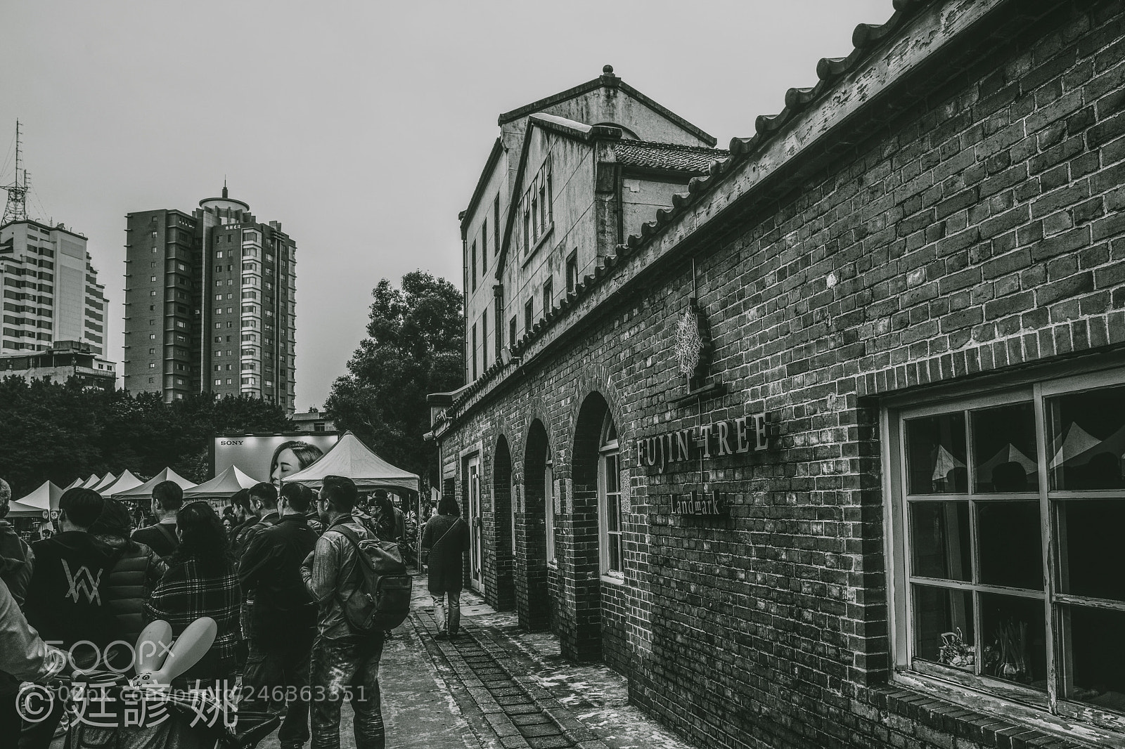 Sony a7R III sample photo. Untitled photography