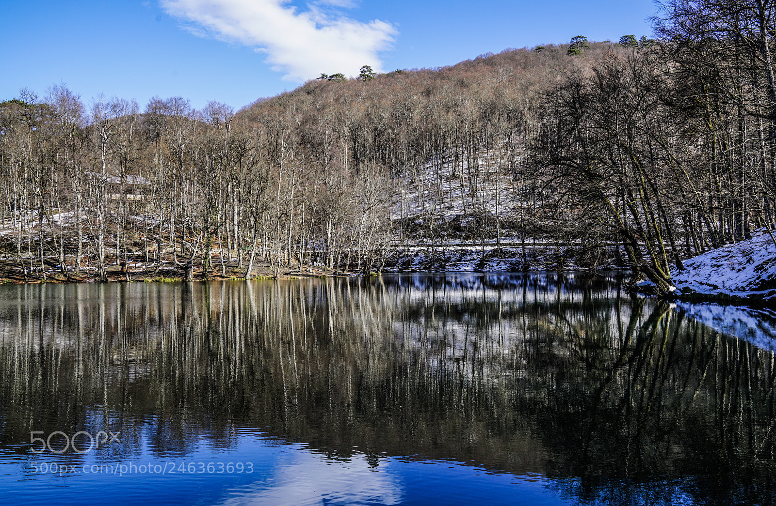 Sony a7R II sample photo. Lightful photography