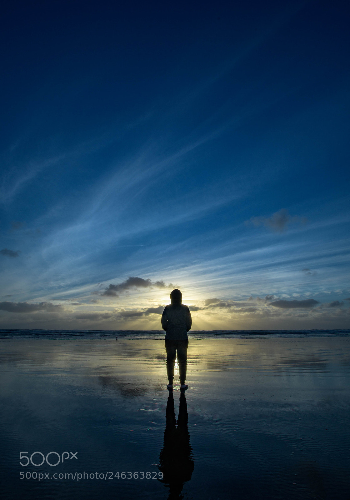 Nikon D7500 sample photo. Lonely sunset photography