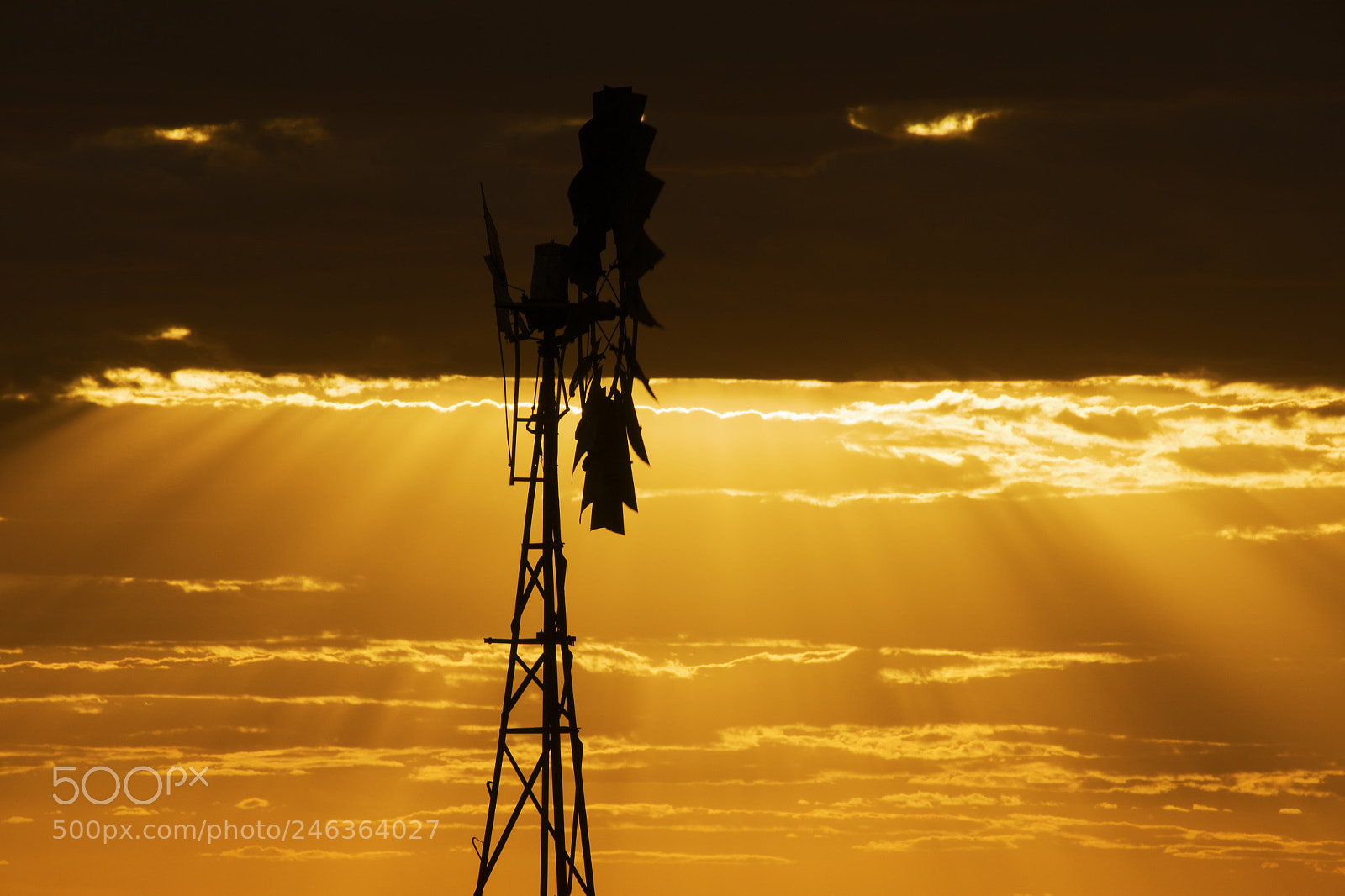 Nikon D800 sample photo. Australian windmill in the photography