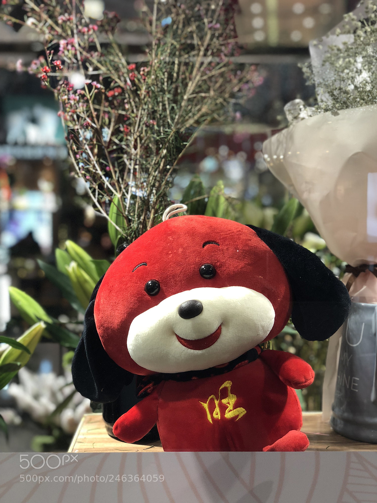 Apple iPhone X sample photo. 旺 photography