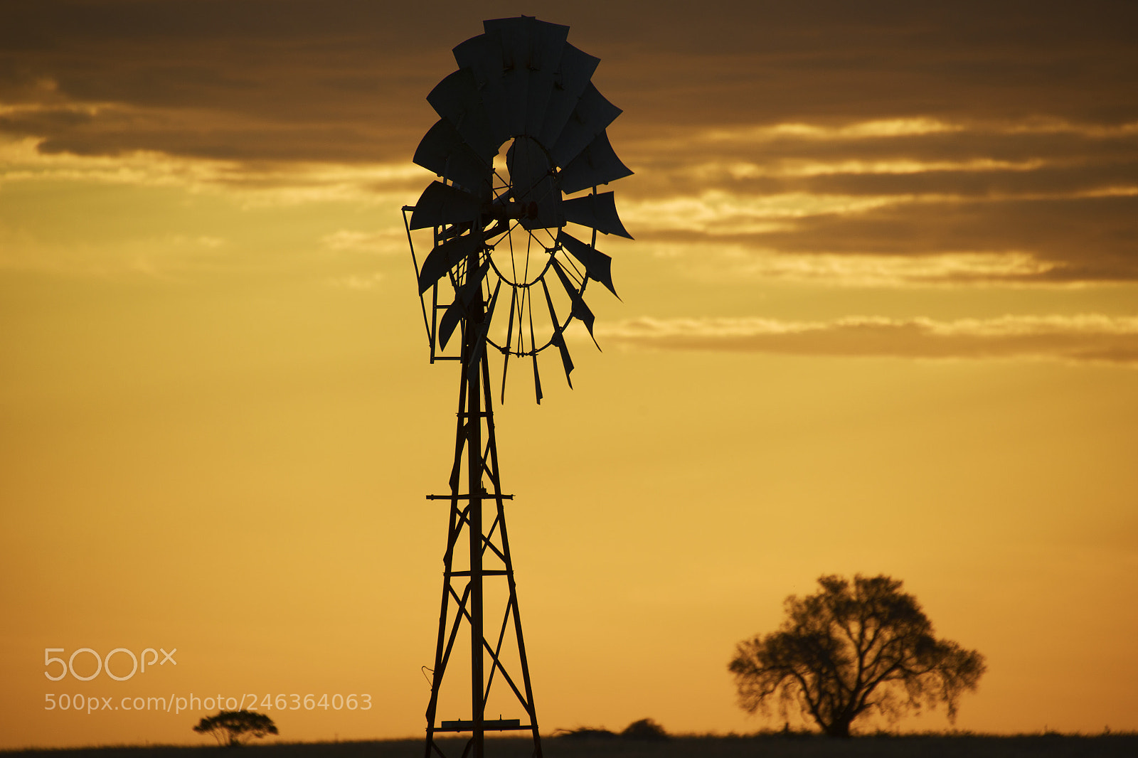 Nikon D800 sample photo. Australian windmill in the photography