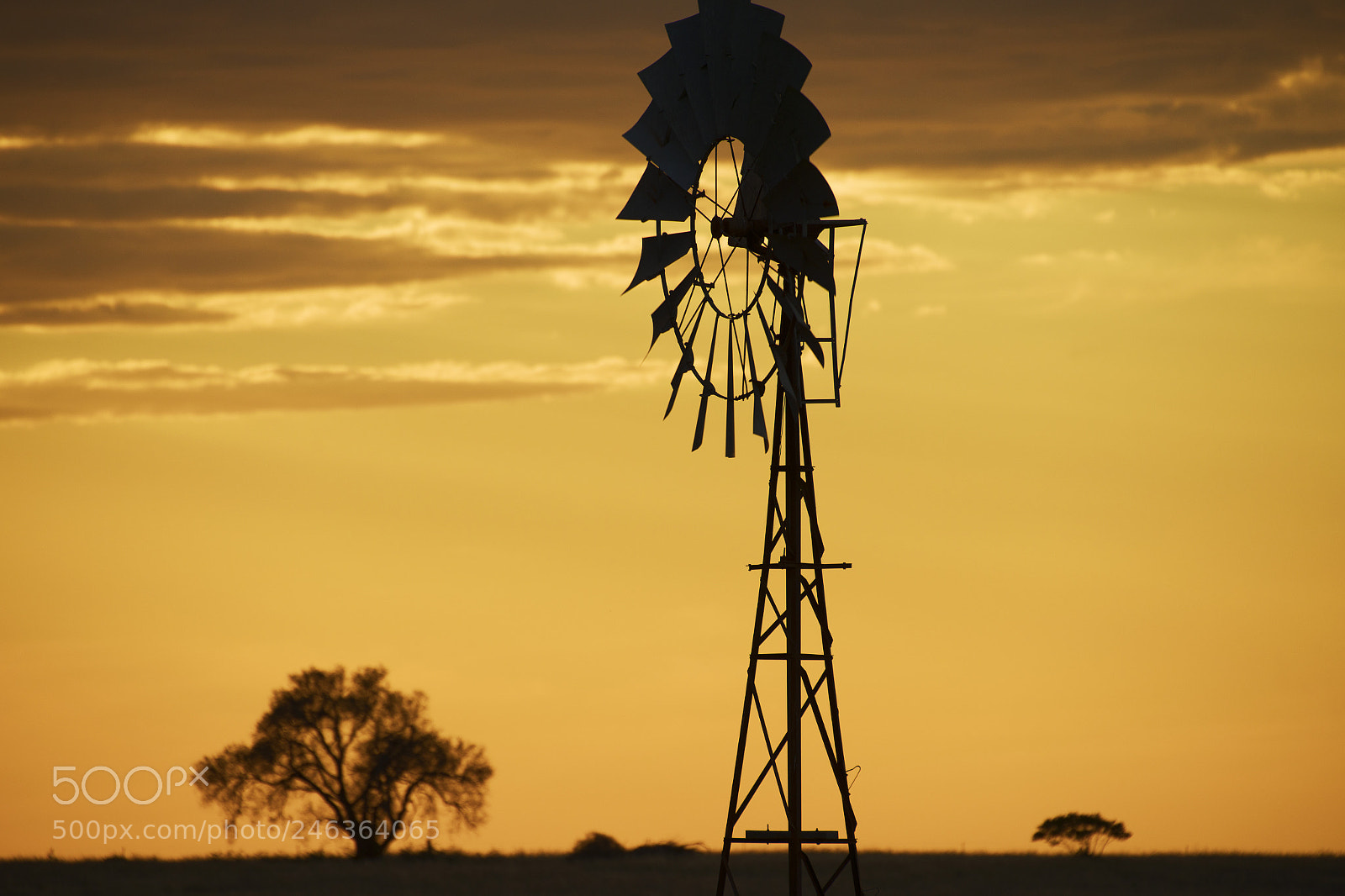 Nikon D800 sample photo. Australian windmill in the photography