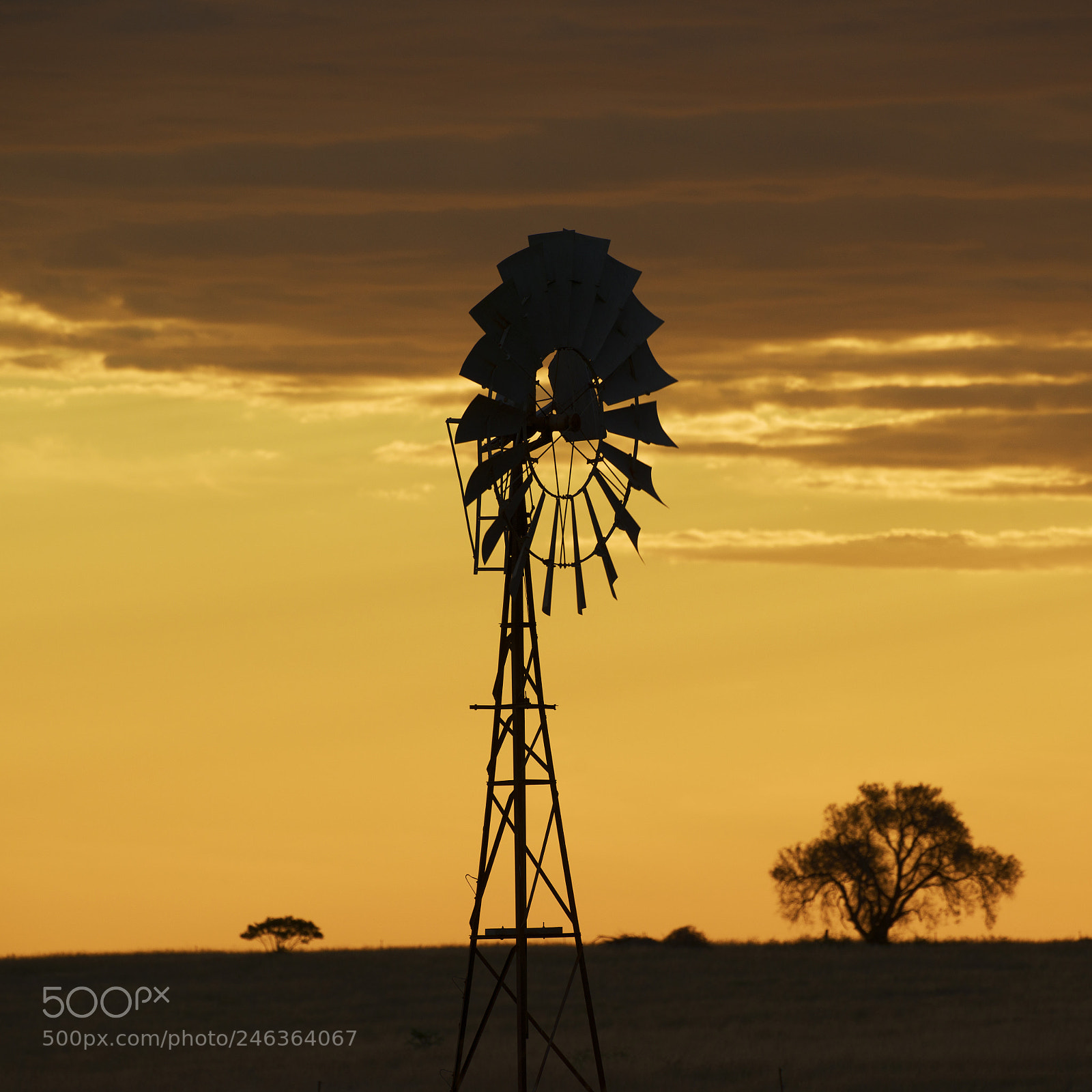 Nikon D800 sample photo. Australian windmill in the photography