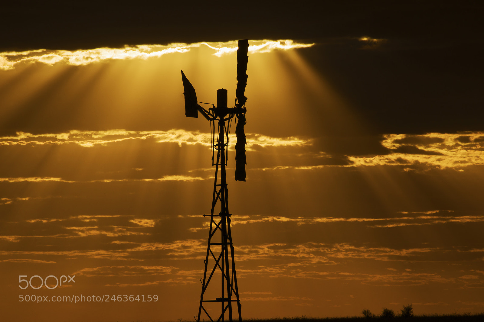 Nikon D800 sample photo. Australian windmill in the photography