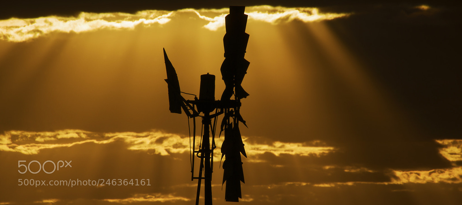 Nikon D800 sample photo. Australian windmill in the photography