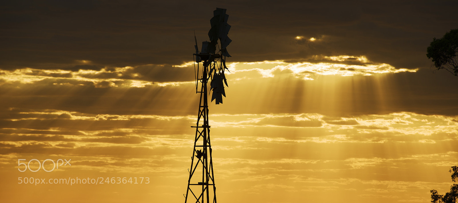 Nikon D800 sample photo. Australian windmill in the photography