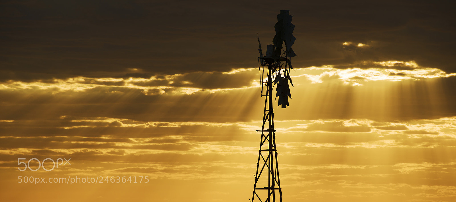 Nikon D800 sample photo. Australian windmill in the photography