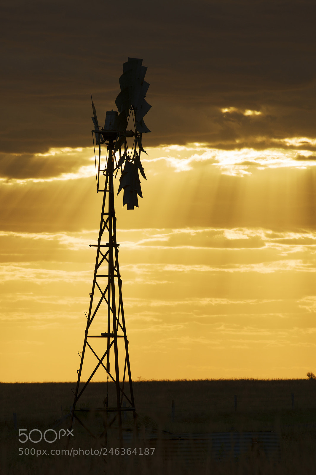 Nikon D800 sample photo. Australian windmill in the photography