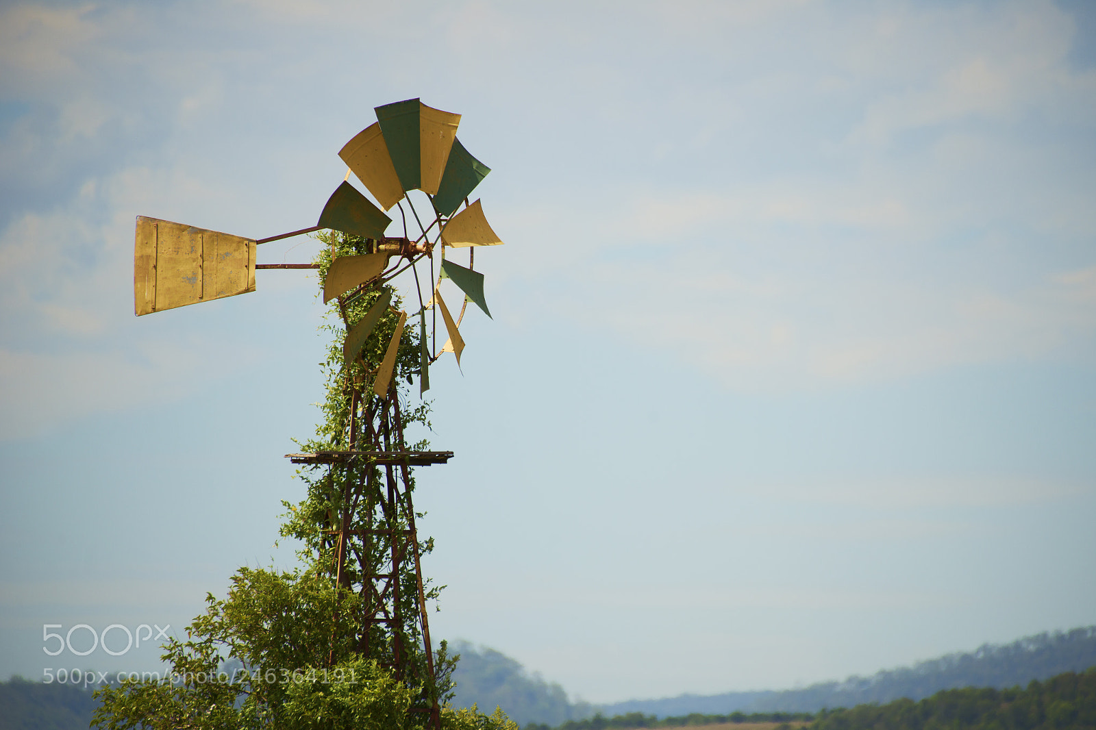 Nikon D800 sample photo. Australian windmill in the photography
