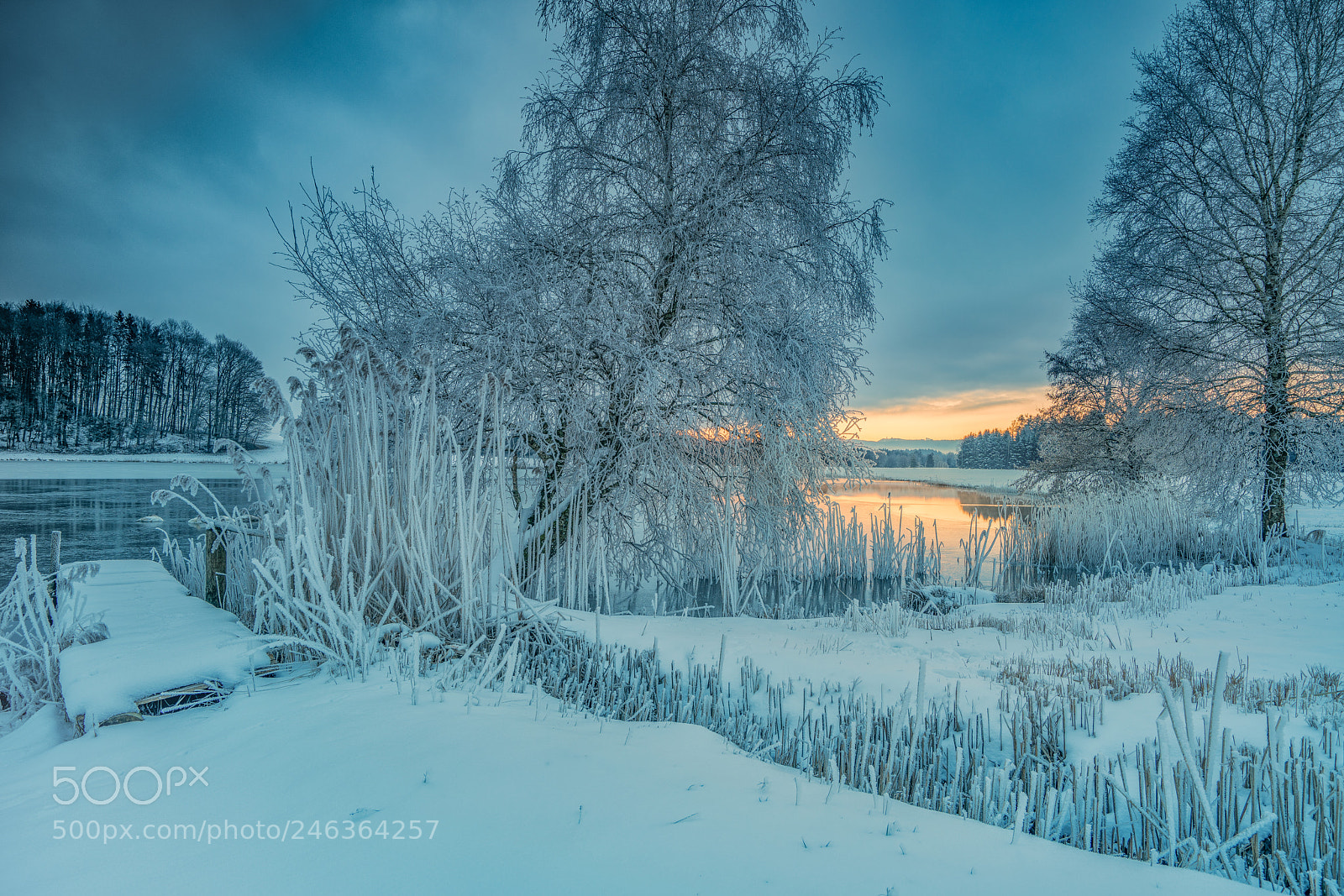 Sony a7R II sample photo. Egelsee salzburg photography