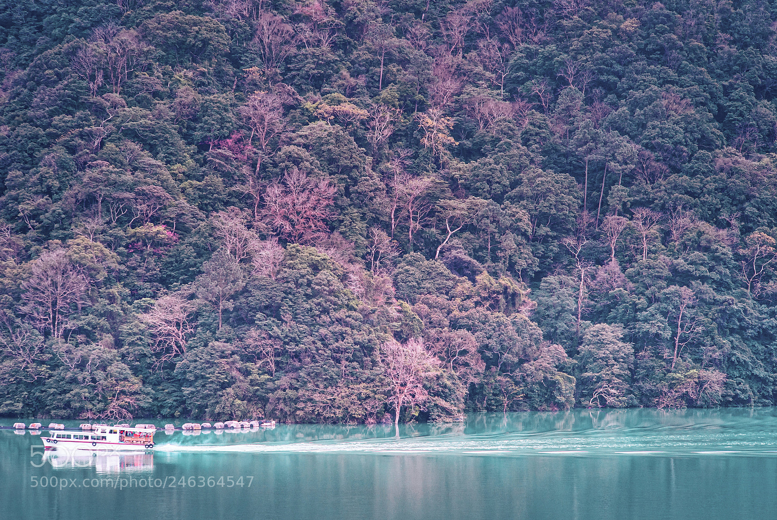 Nikon Df sample photo. Shimen waterpool photography