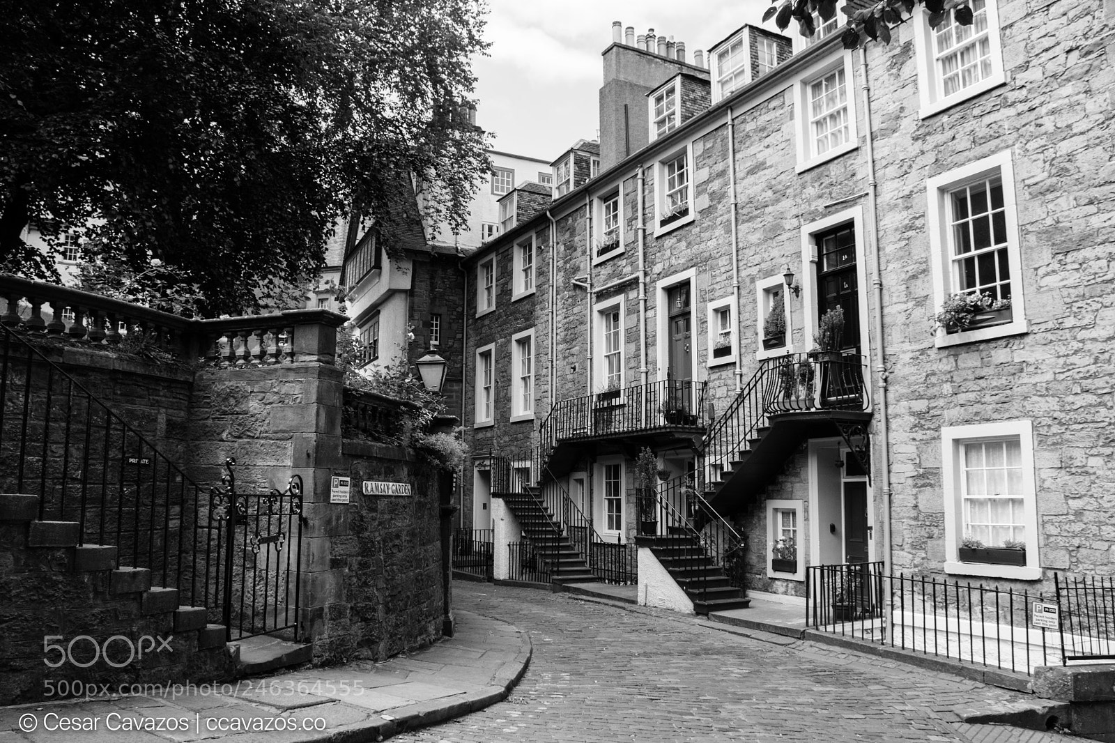 Nikon D3400 sample photo. Ramsay garden, edinburgh, uk photography