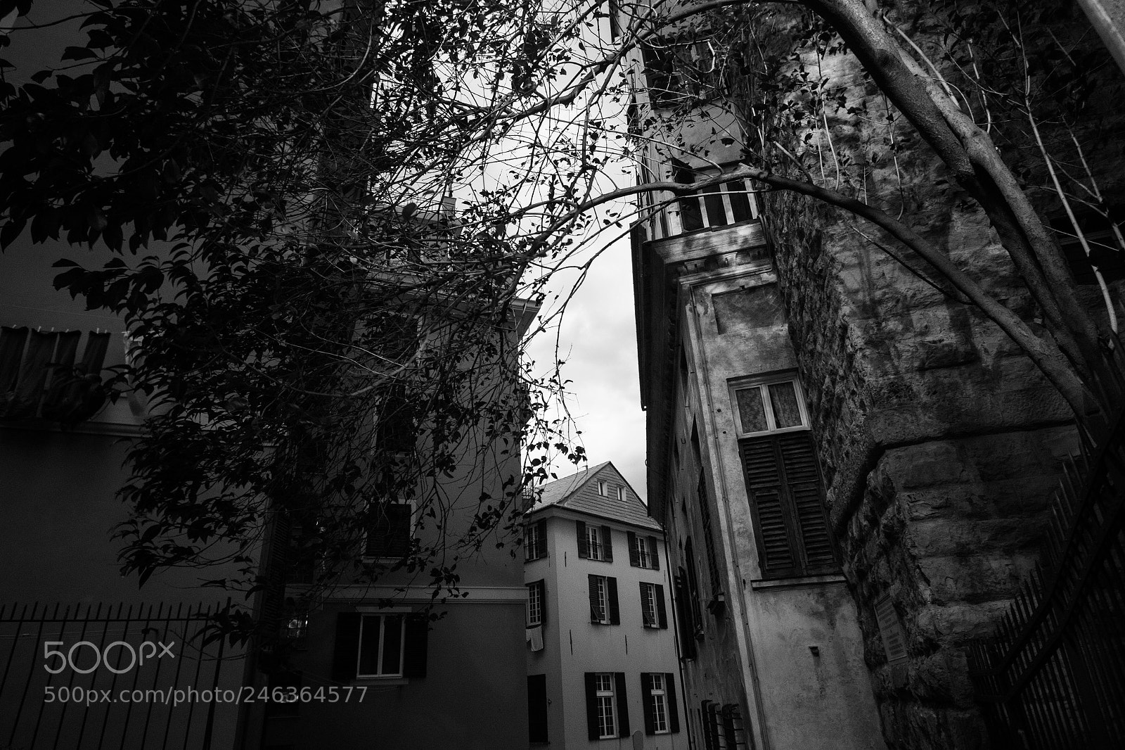 Canon EOS 60D sample photo. Genoa alleys photography