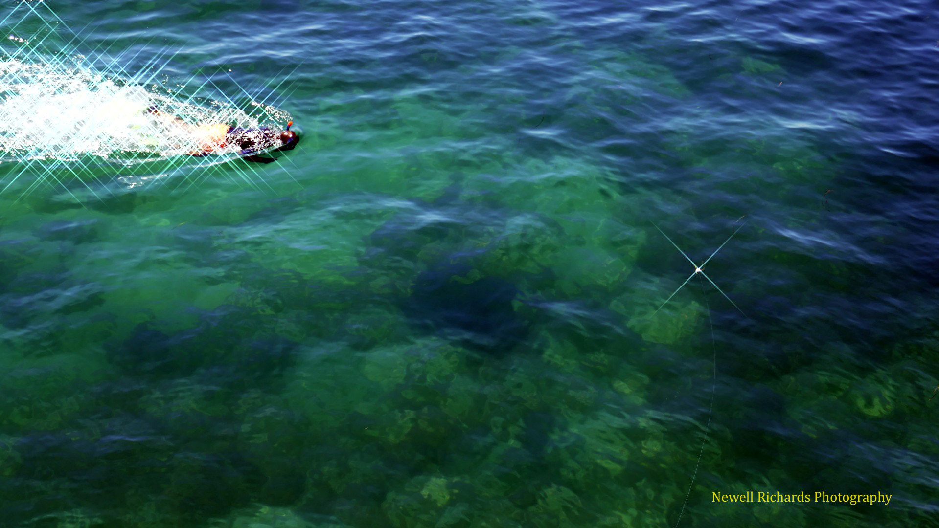 Panasonic DMC-TZ110 sample photo. Person snorkeling and following a sting ray visible as dark blob photography