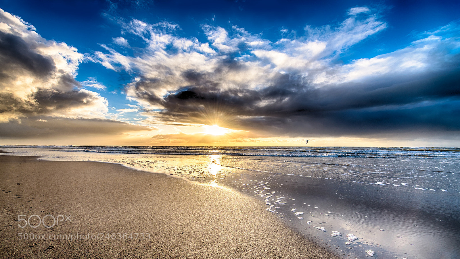 Nikon D850 sample photo. Warm sunset 2018 photography