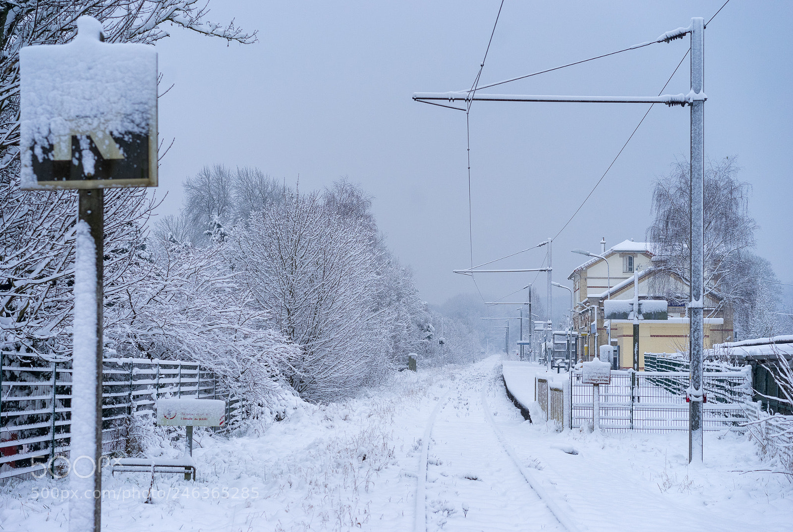 Sony a7 II sample photo. Saint germain sur morin photography