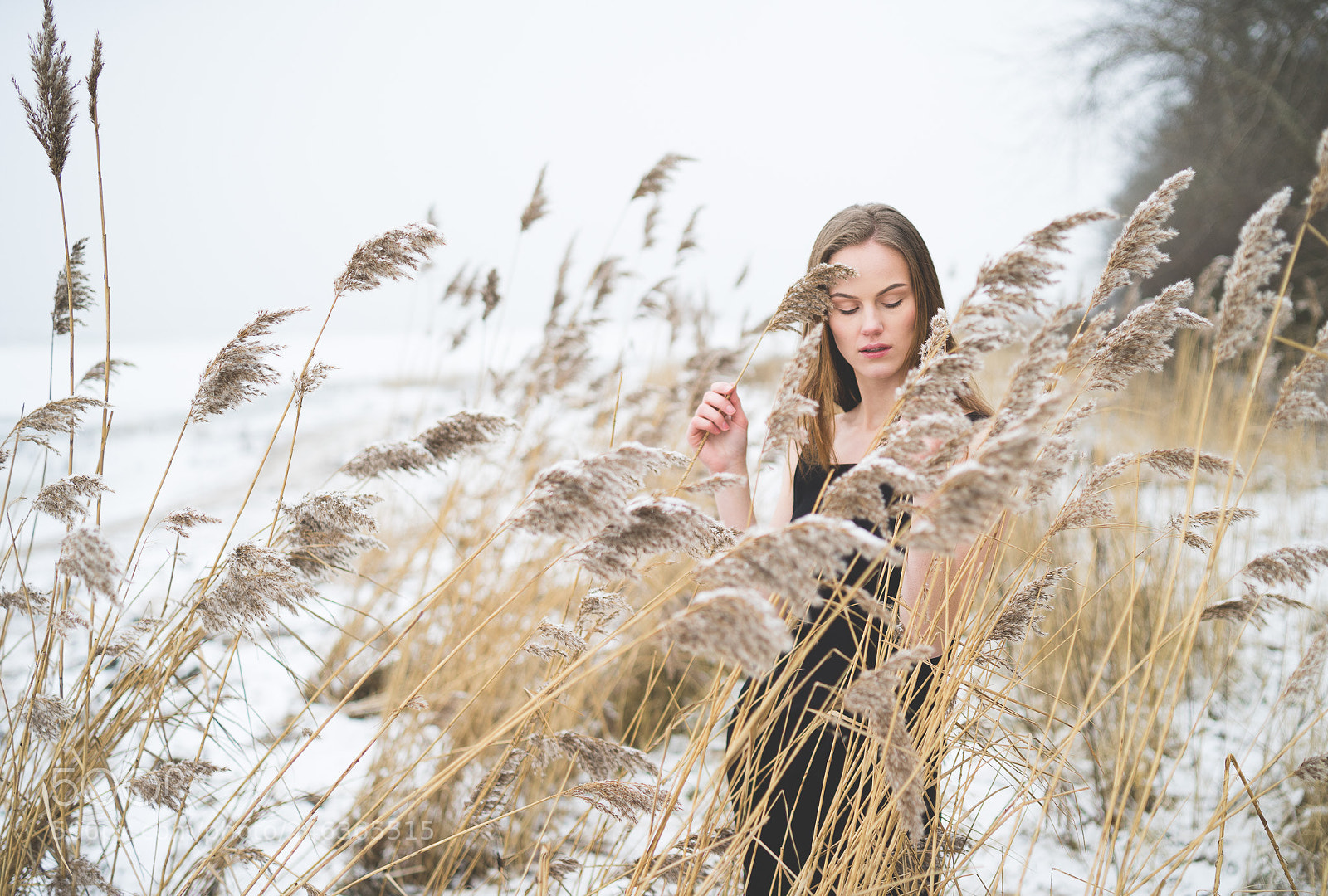 Sony a7 II sample photo. Maya photography