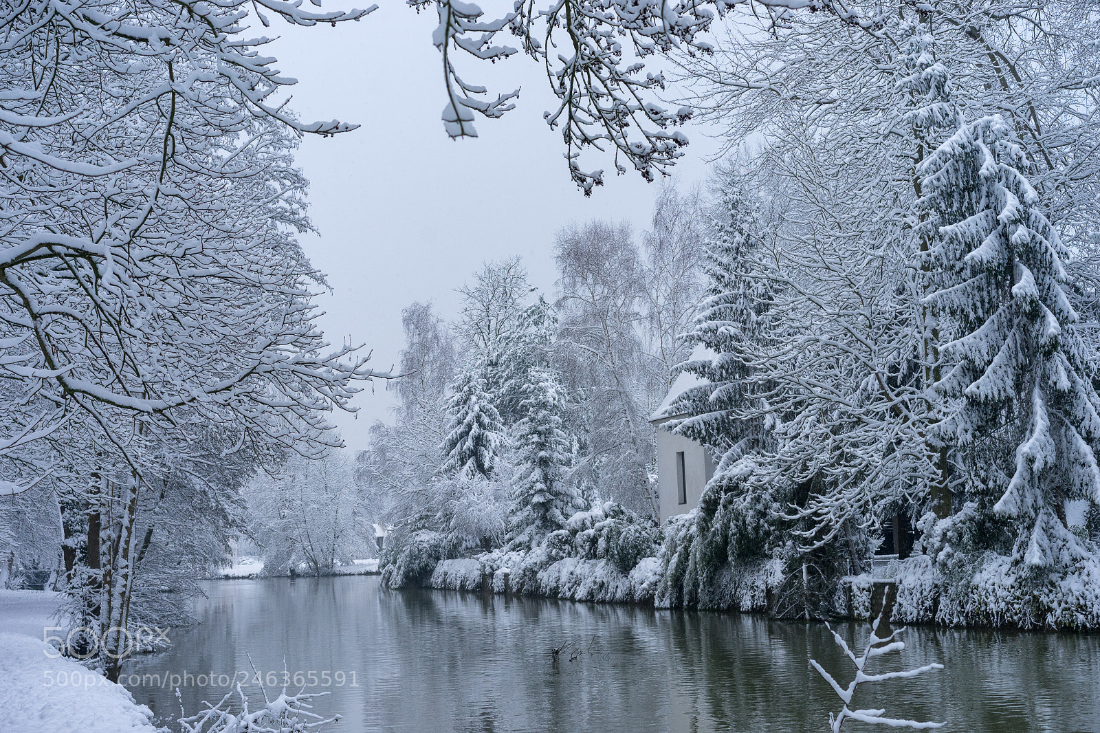 Sony a7 II sample photo. Saint germain sur morin photography