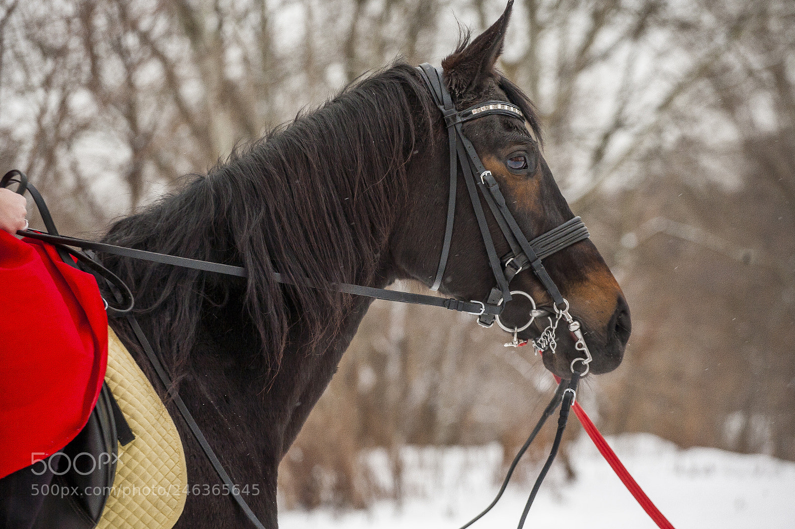 Canon EOS 5D sample photo. Леночек и Мизия photography