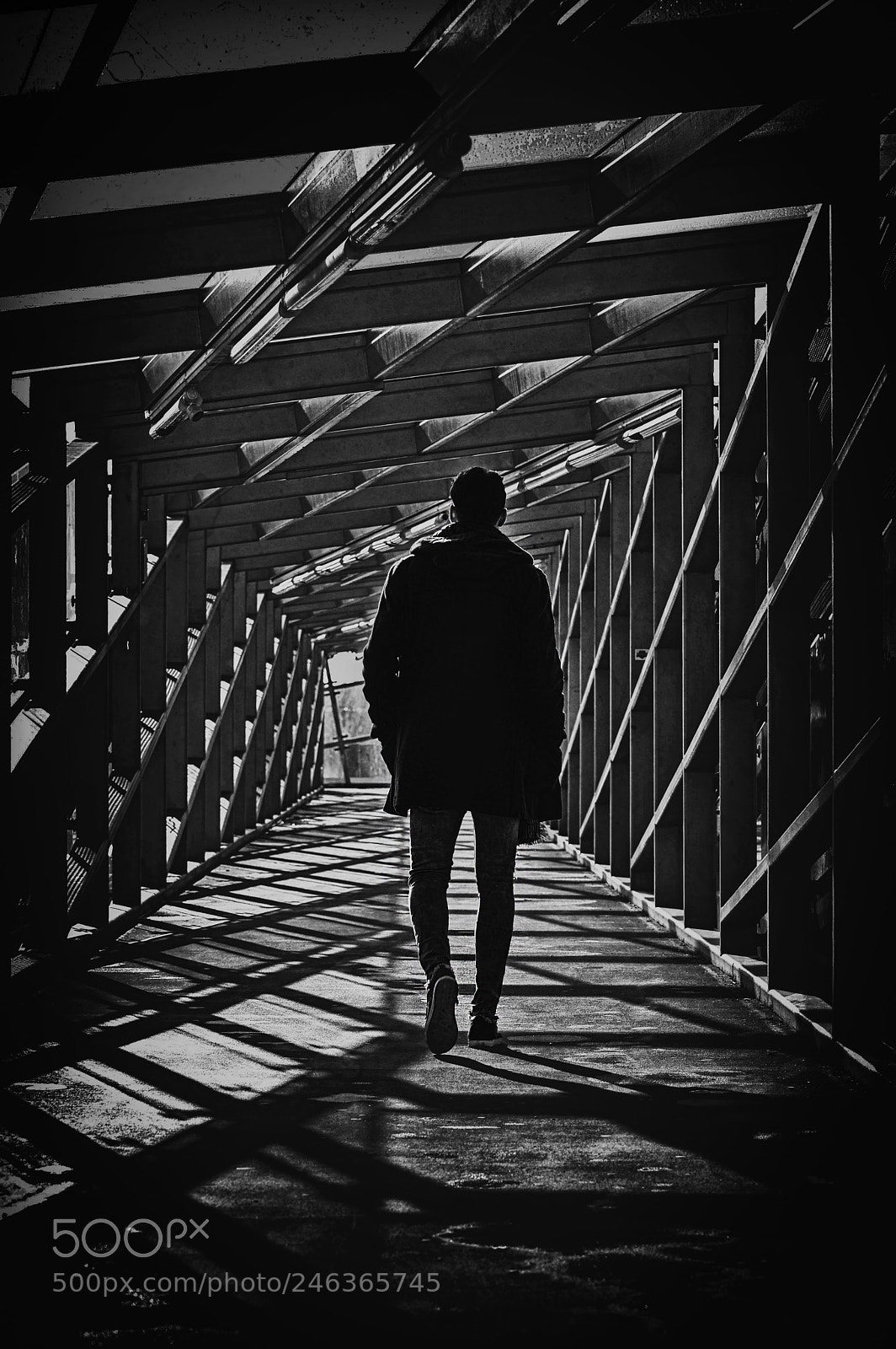 Nikon D3200 sample photo. Walking away photography