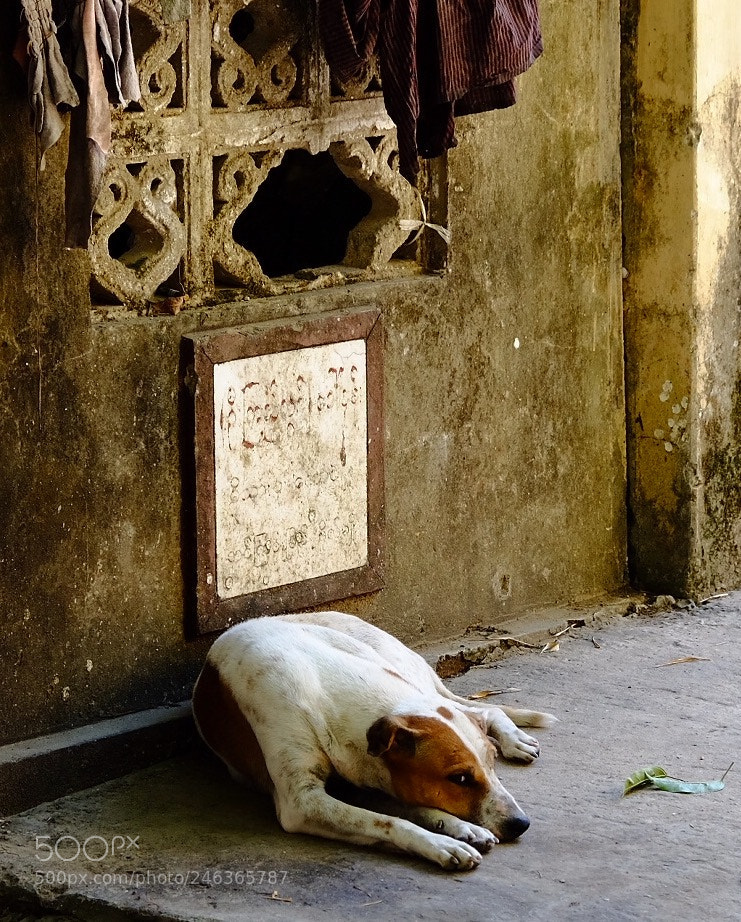 Fujifilm X-T1 sample photo. Myanmar photography