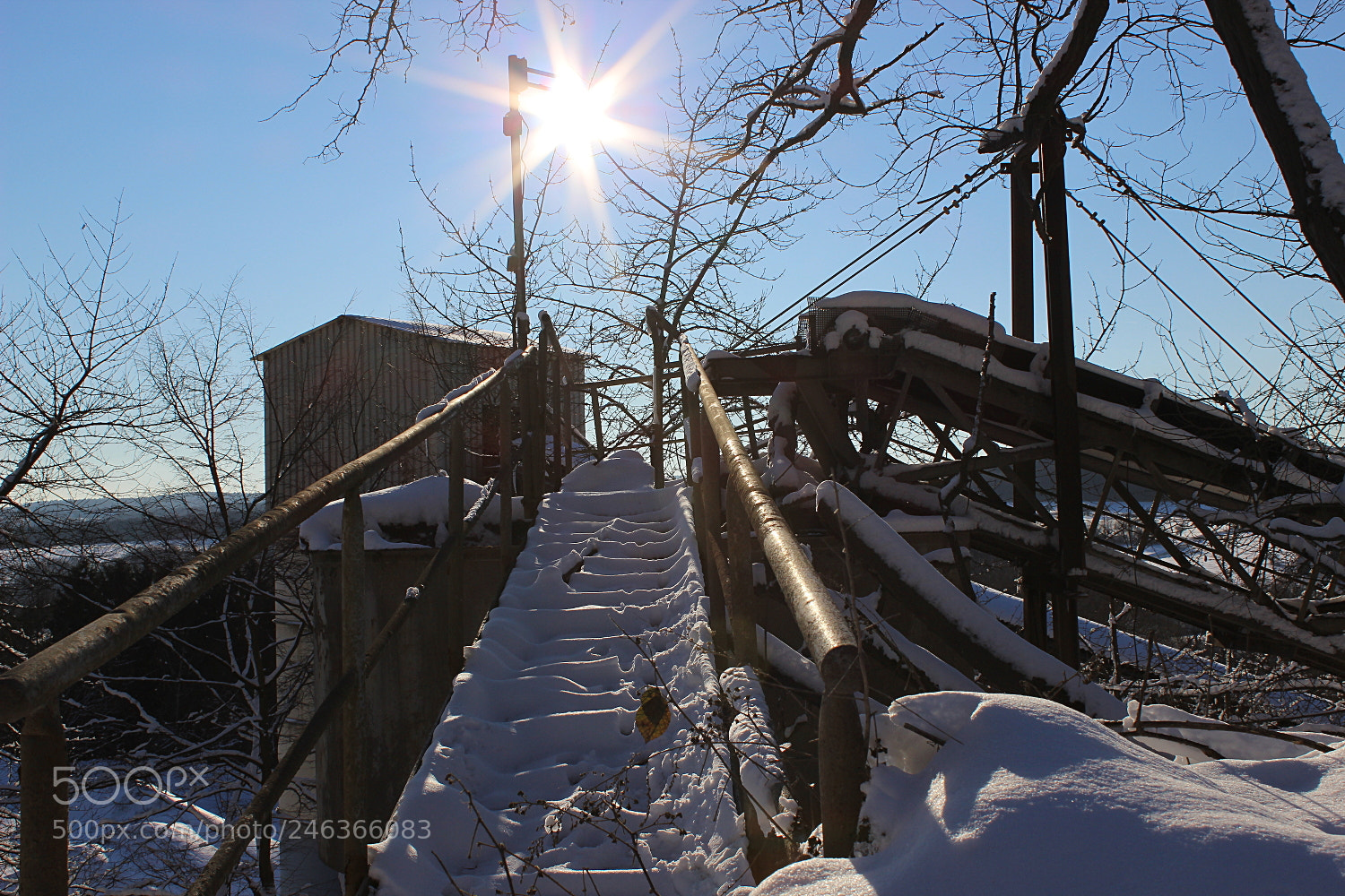 Canon EOS 600D (Rebel EOS T3i / EOS Kiss X5) sample photo. Winter-to the sun photography