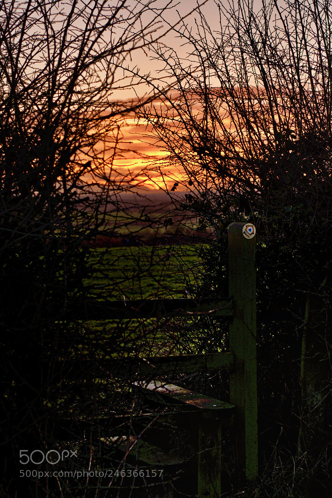 Nikon D7100 sample photo. Sty photography