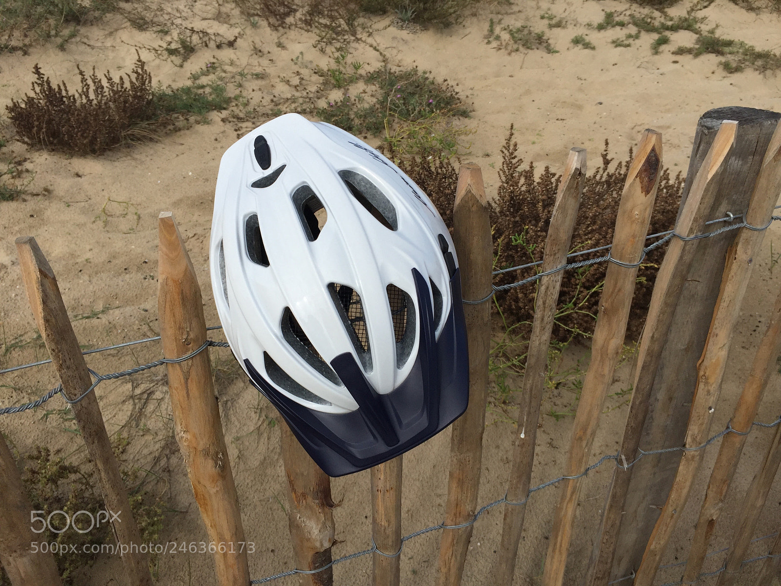 Apple iPhone 6 sample photo. Img photography
