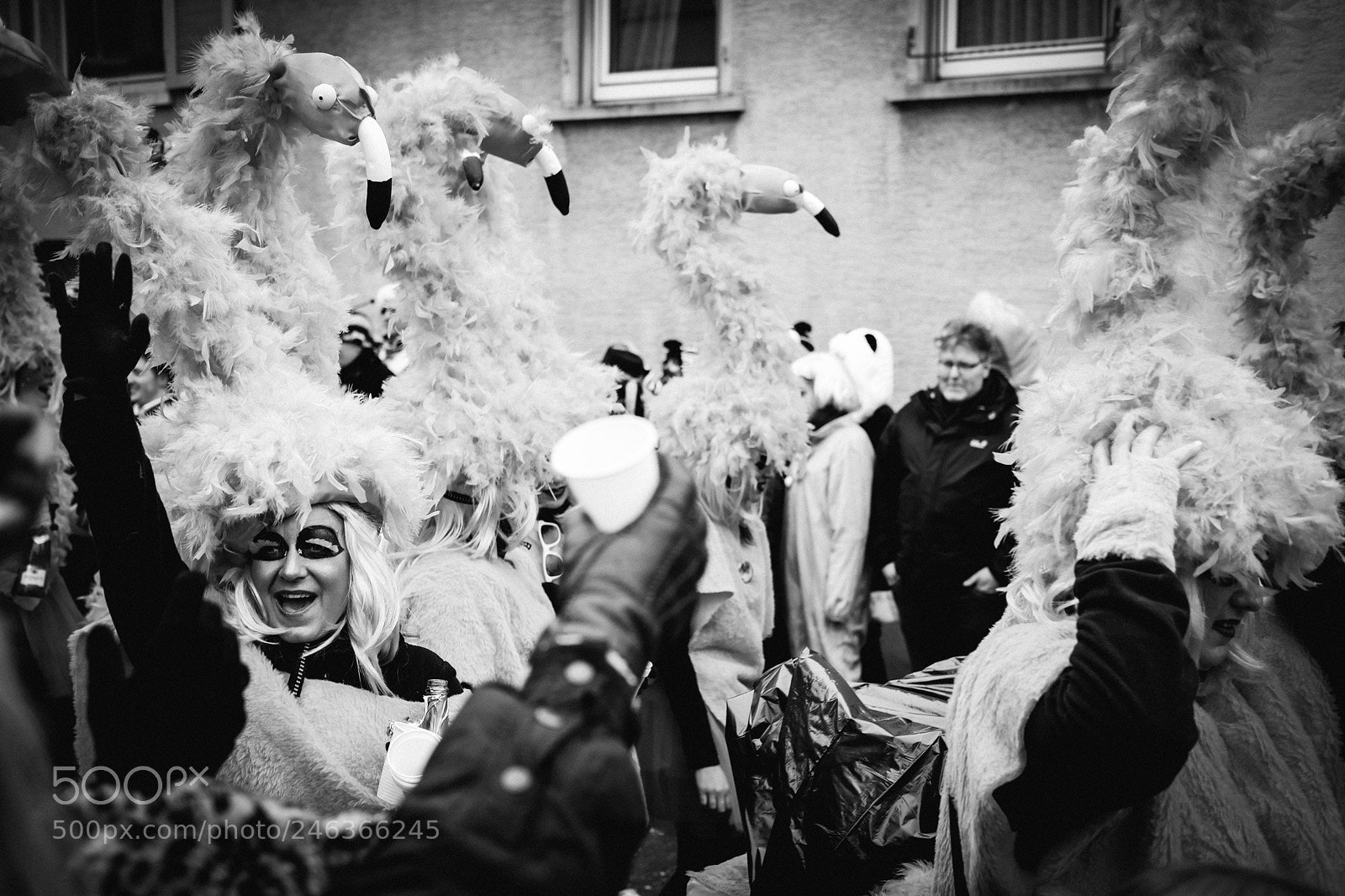 Fujifilm X-Pro2 sample photo. Fasching in germany photography