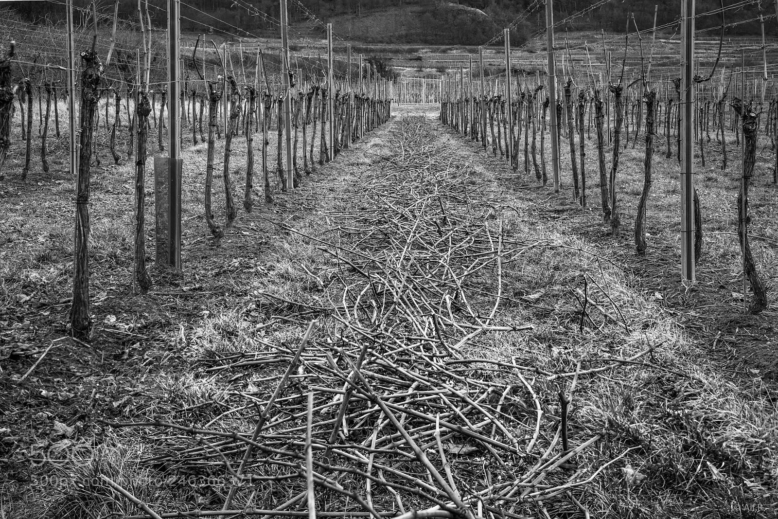 Sony a7R II sample photo. This is the wachau photography