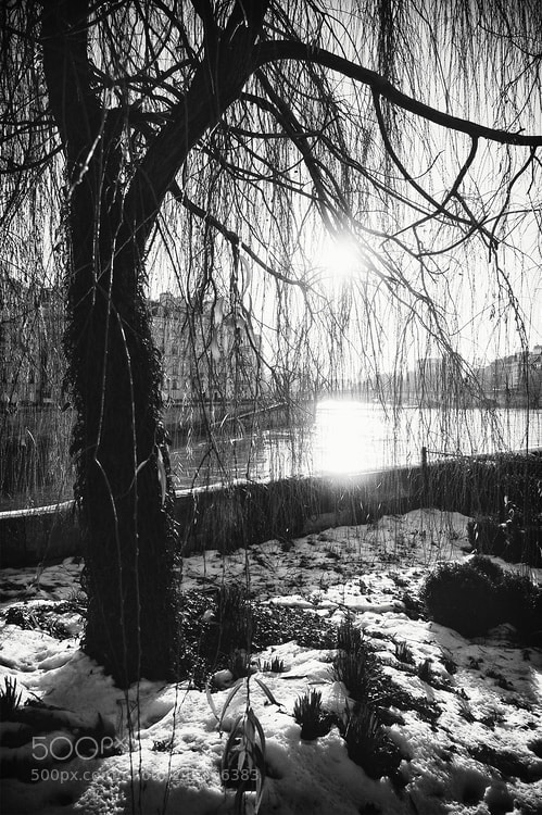 Fujifilm X-Pro1 sample photo. La neige au soleil photography