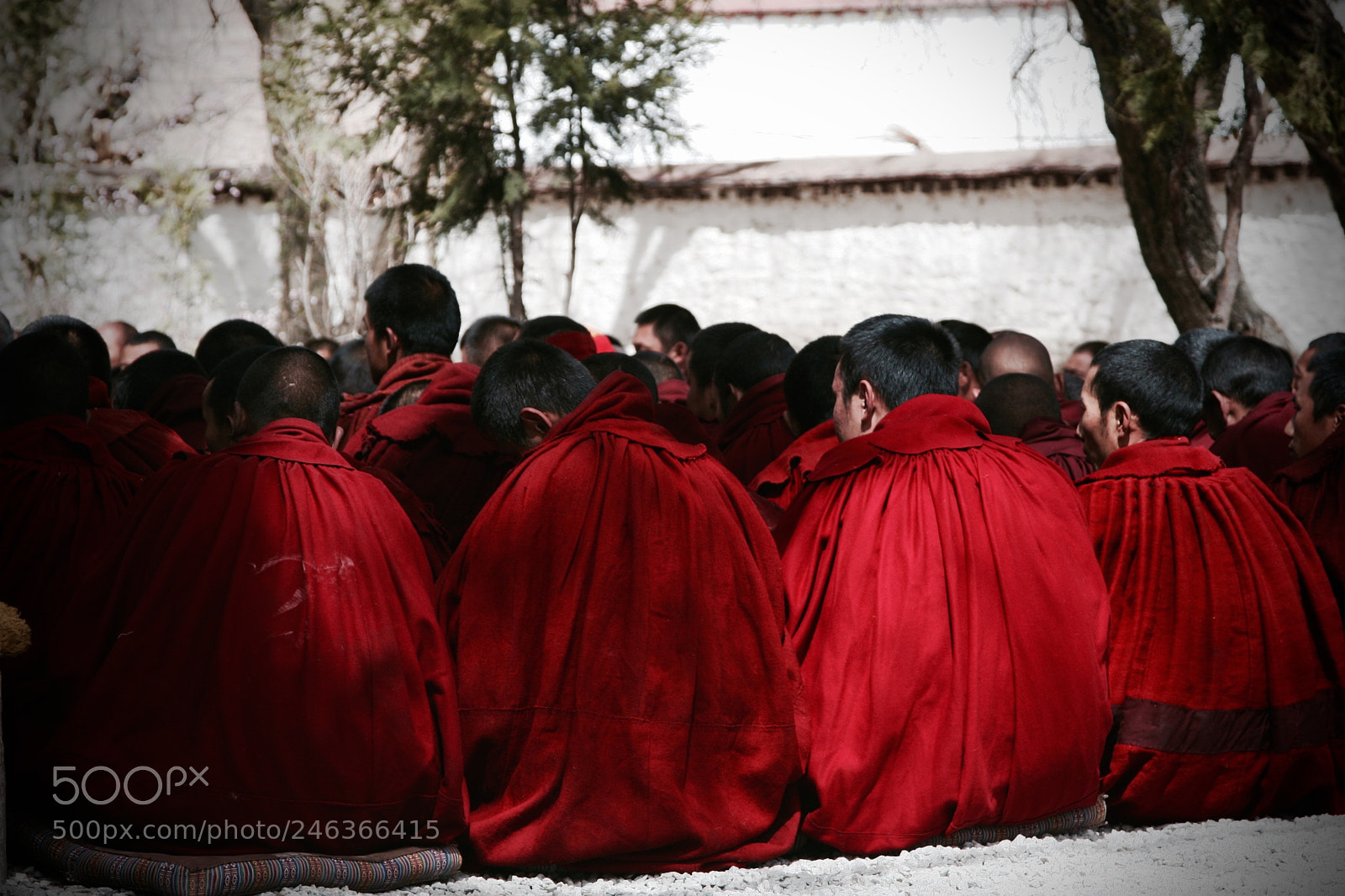 Canon EOS 30D sample photo. Monks in tibet praying photography