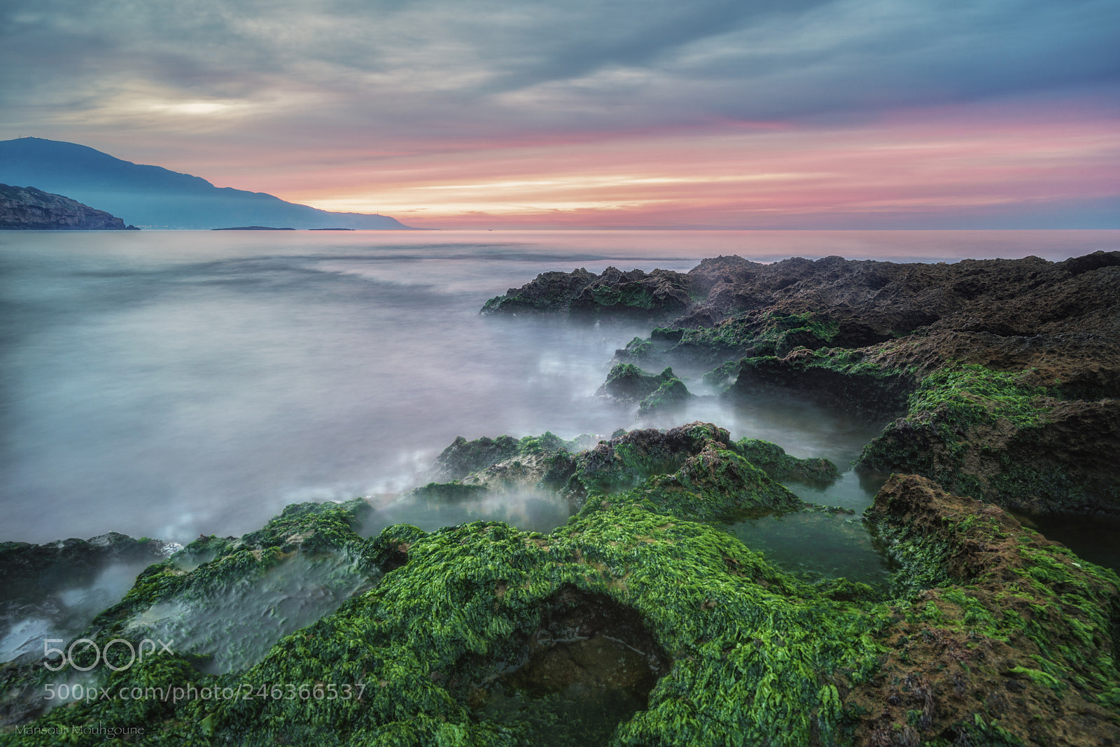 Sony a7R II sample photo. Tipaza photography