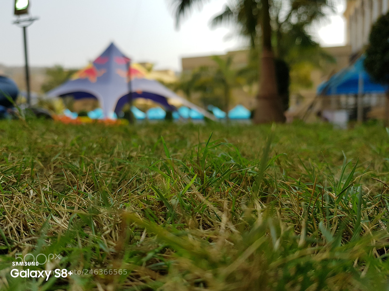 Samsung Galaxy S8+ sample photo. Untitled photography