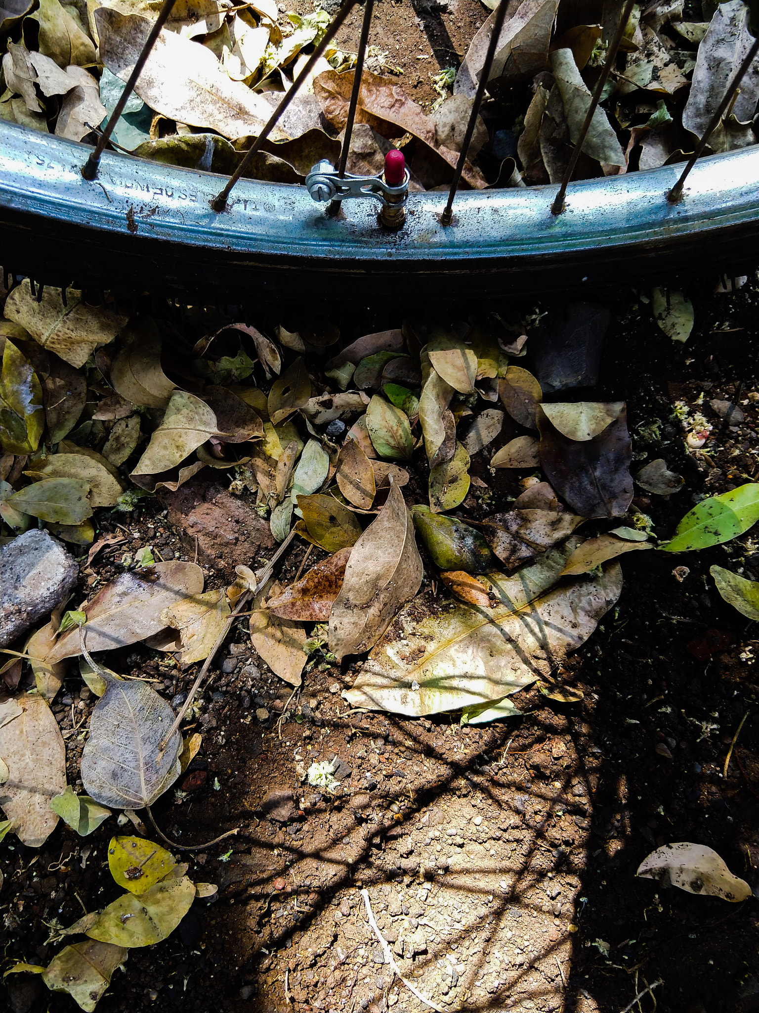 Motorola moto x4 sample photo