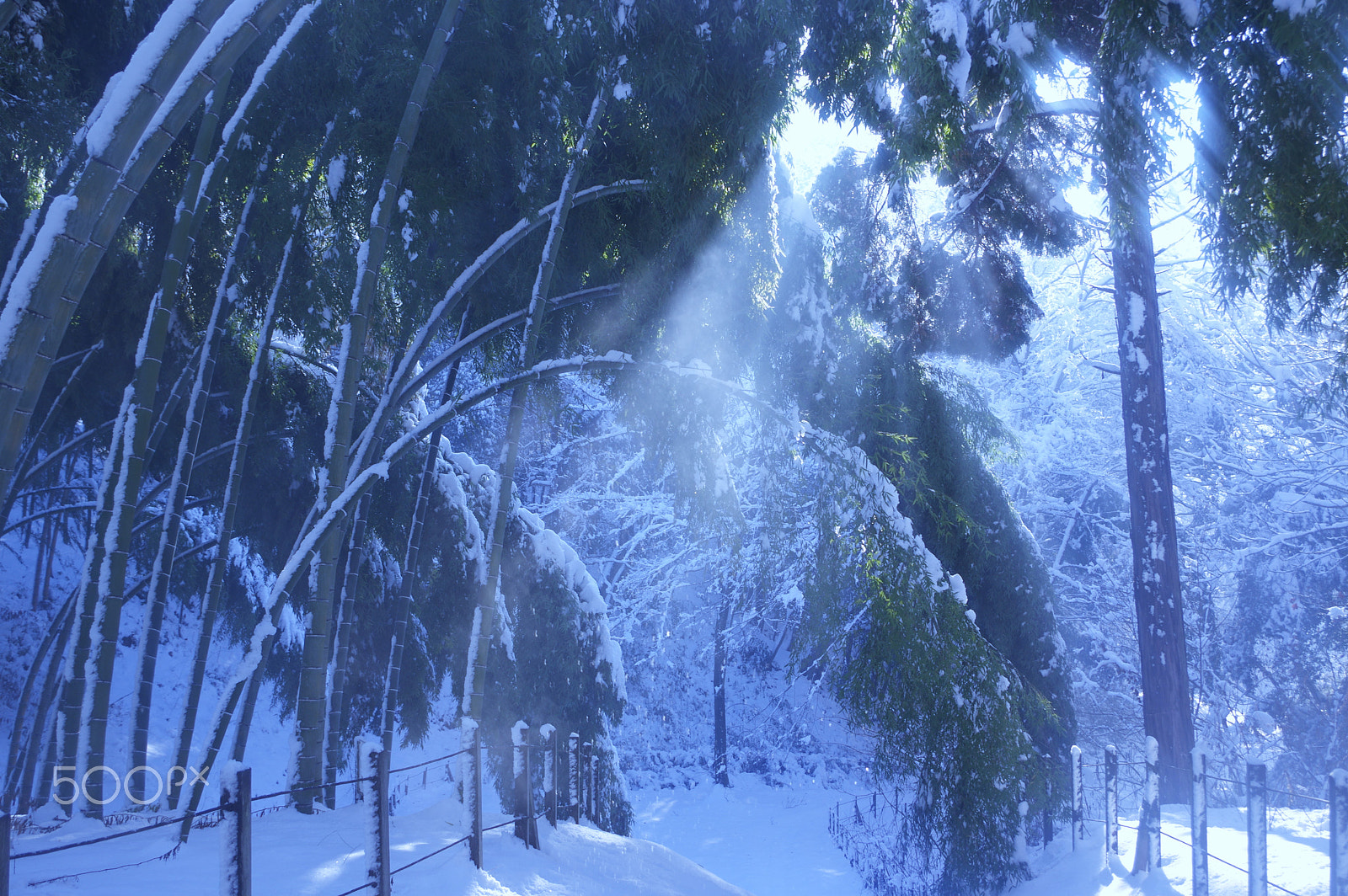 smc PENTAX-DA L 18-55mm F3.5-5.6 sample photo. Winter scene photography
