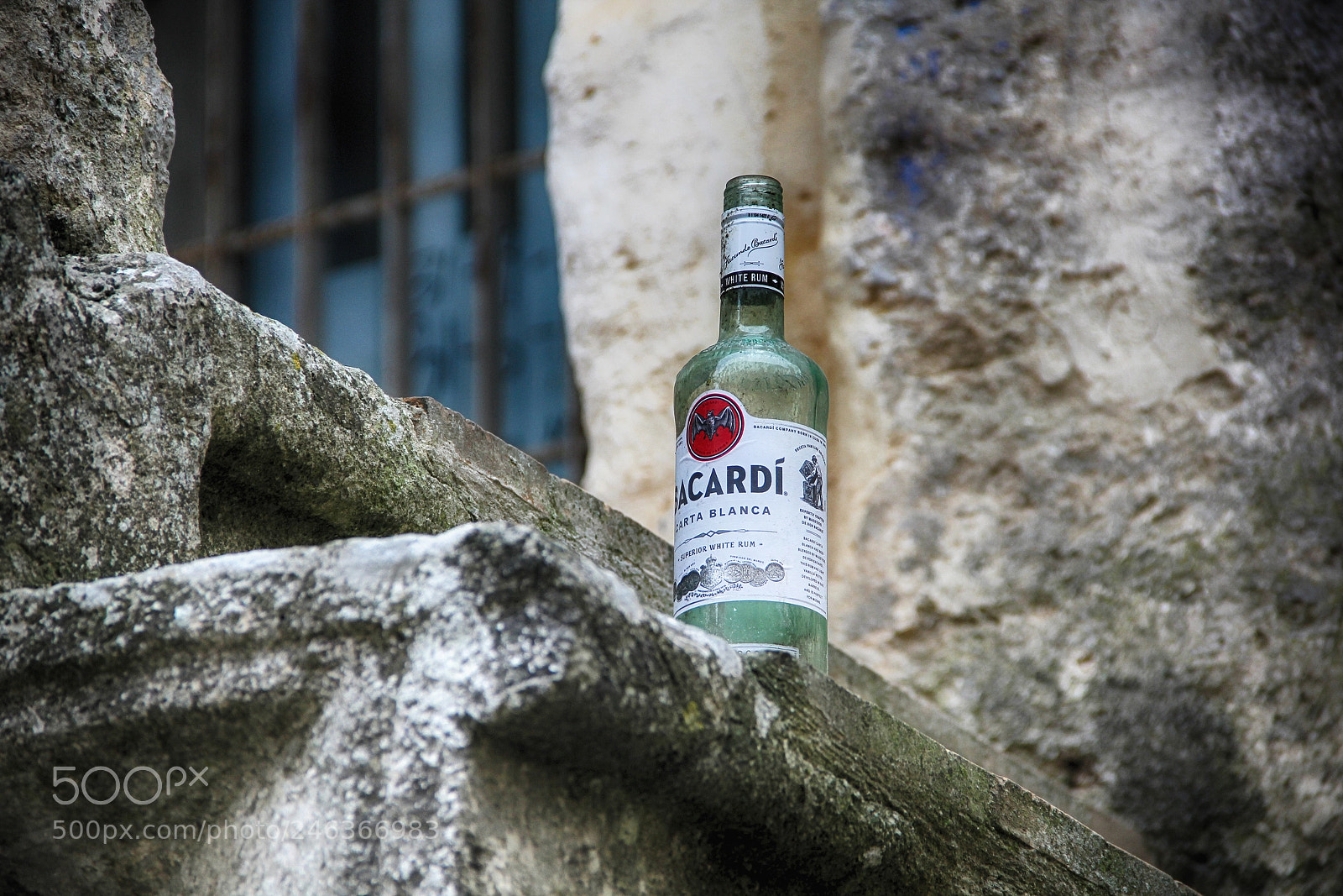 Canon EOS 550D (EOS Rebel T2i / EOS Kiss X4) sample photo. Bottiglia photography