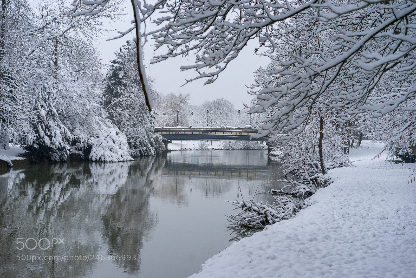Sony a7 II sample photo. Saint germain sur morin photography