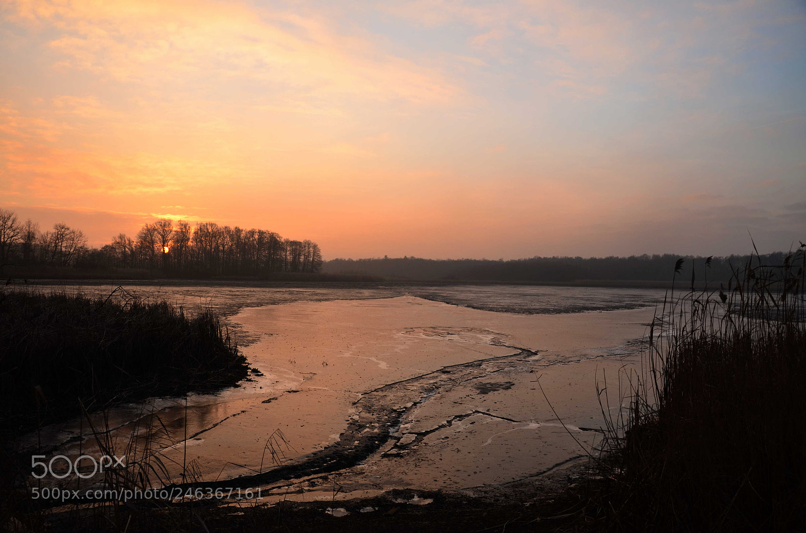 Nikon D5100 sample photo. 290 photography