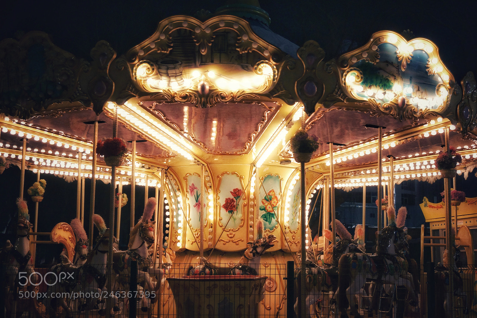 Sony a5100 sample photo. Merry-go-round photography