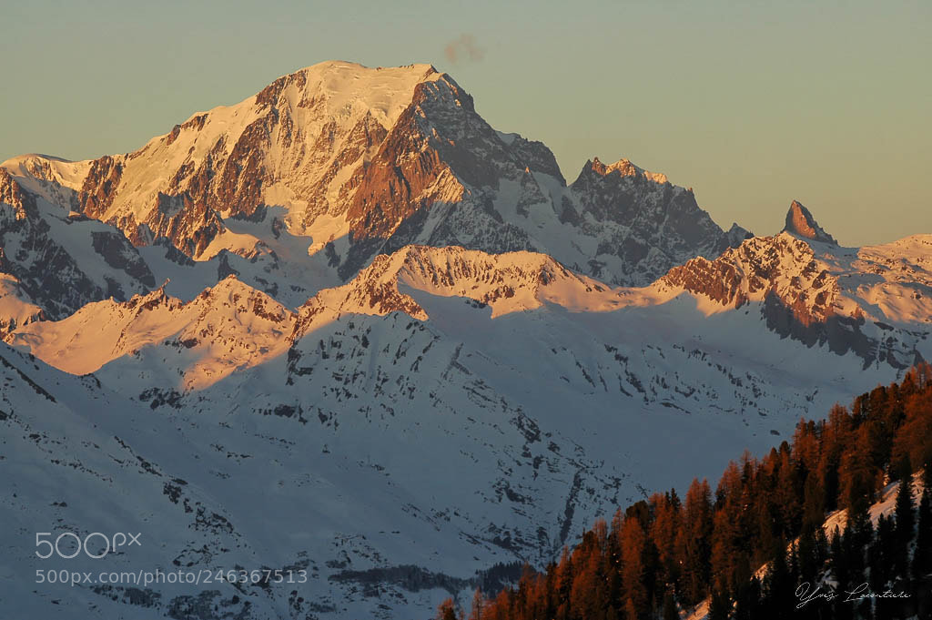 Nikon D70 sample photo. His majesty at sunset photography