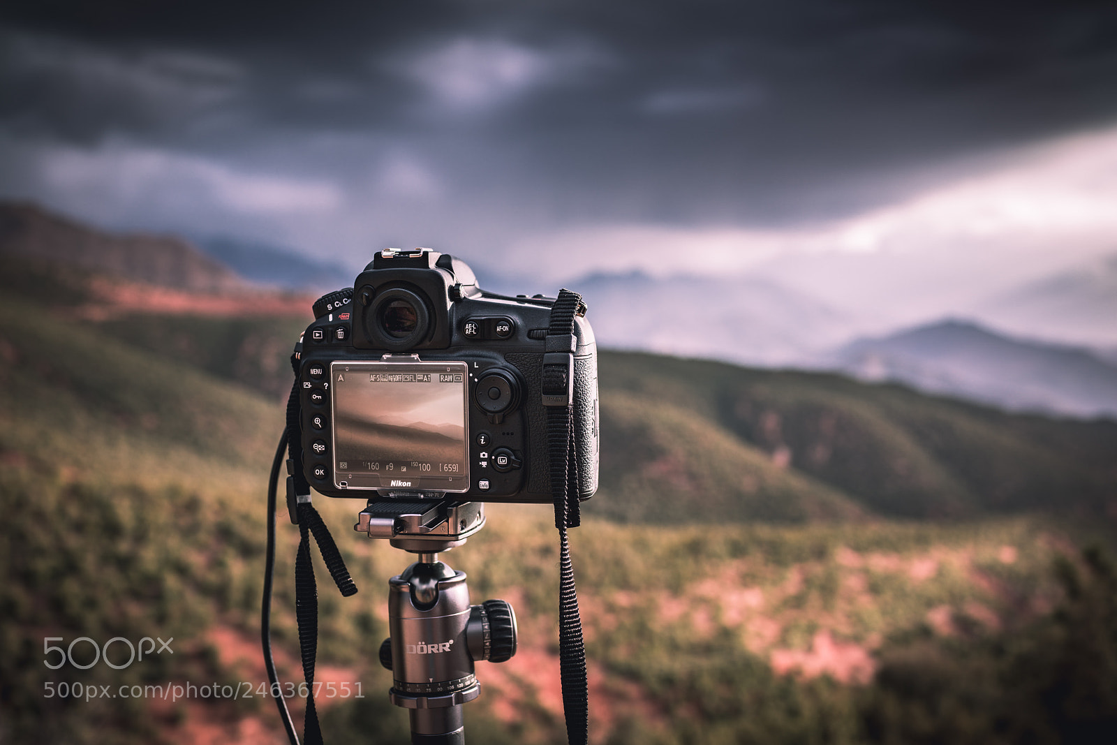 Sony Cyber-shot DSC-RX1R II sample photo. Nikon d850 by sony photography