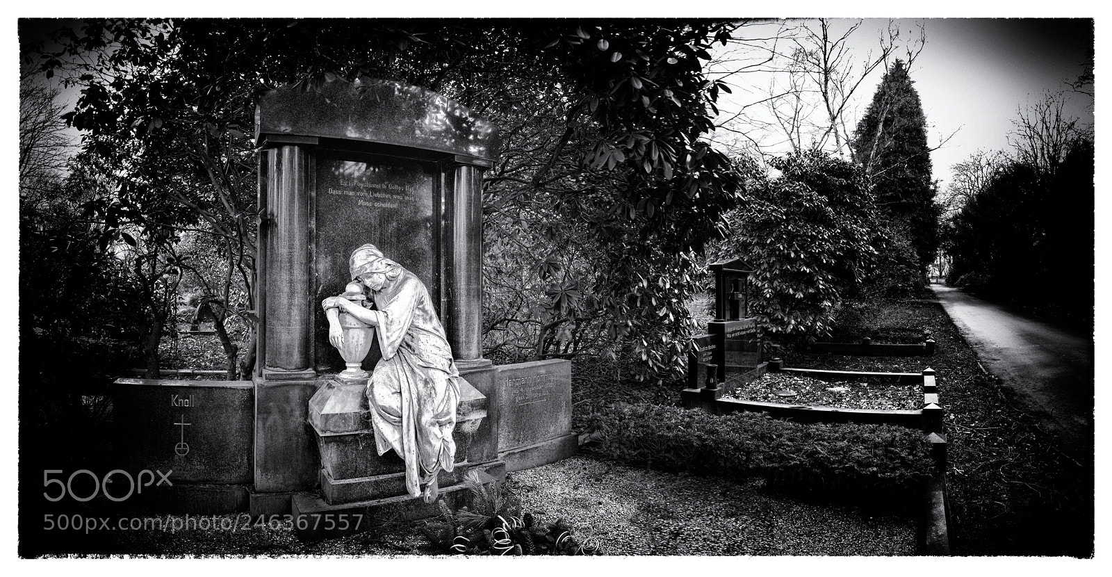 Nikon D850 sample photo. Silence photography