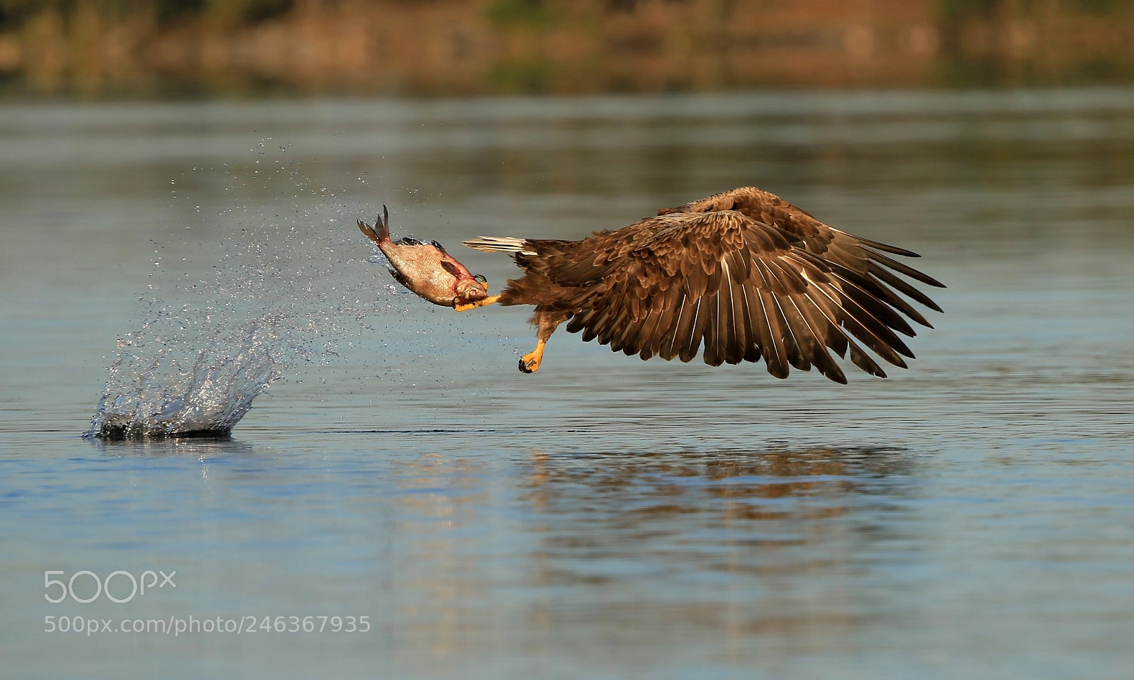 Canon EOS 7D Mark II sample photo. Fishing photography